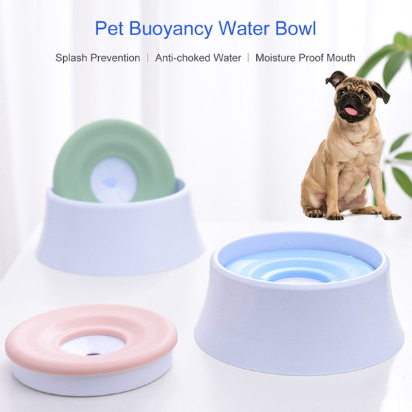 slow water feeder for dogs