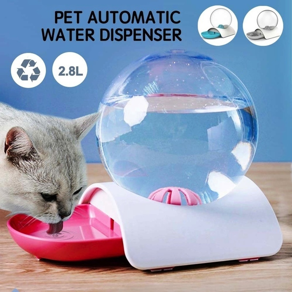 cat water feeder