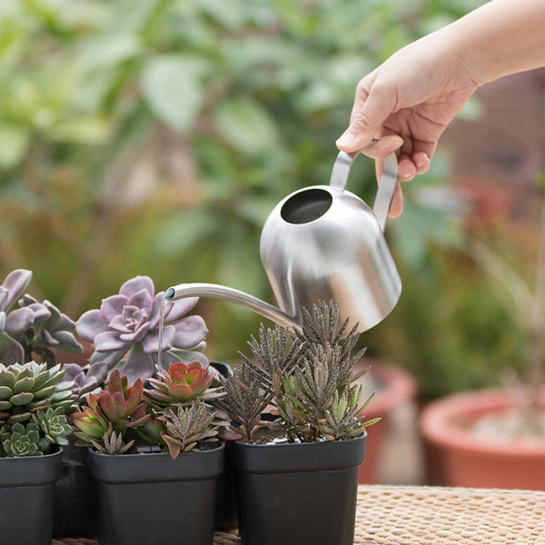 500ml Indoor Small Stainless Steel Watering Can Pot Garden Spout Plant Tool New 