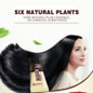 thumbnail - 3