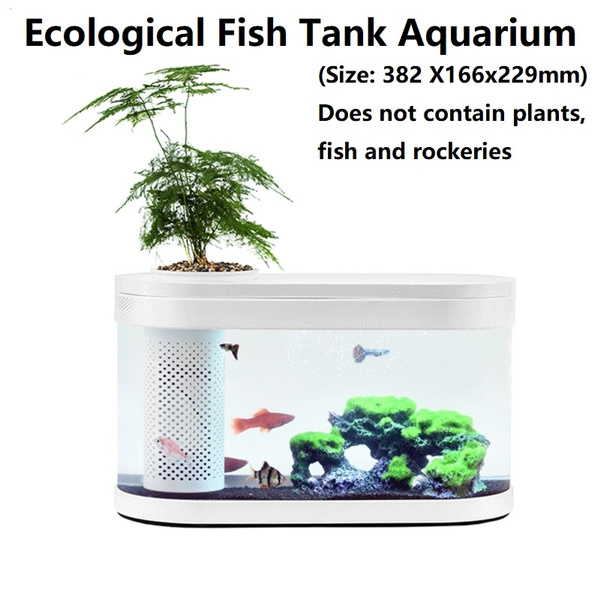 wish fish tank