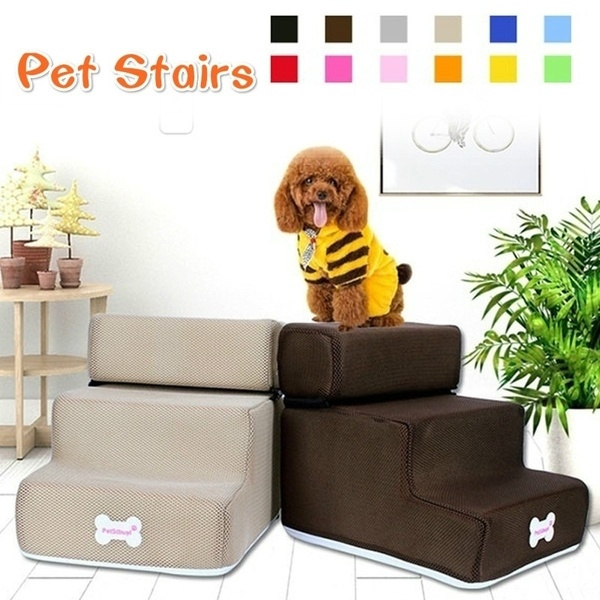 teddy pet steps