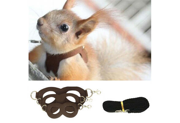 Diy on sale hamster leash