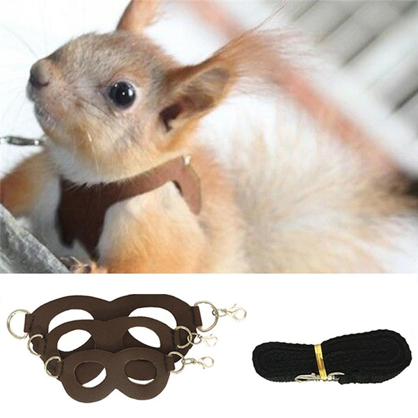 Small Animal Harness & Leash Set Guinea Pig Ferret Hamster Rabbit Squirrel Vest 