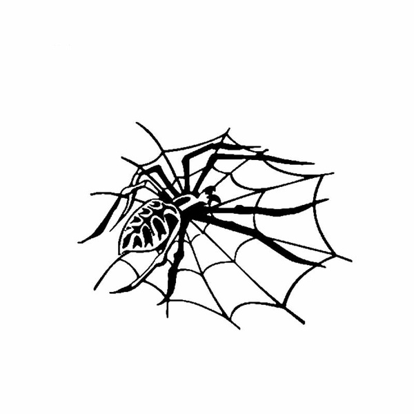 Spider and Web Vinyl Decal