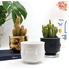 Plants, designflowerpot, ceramicpot, Pot