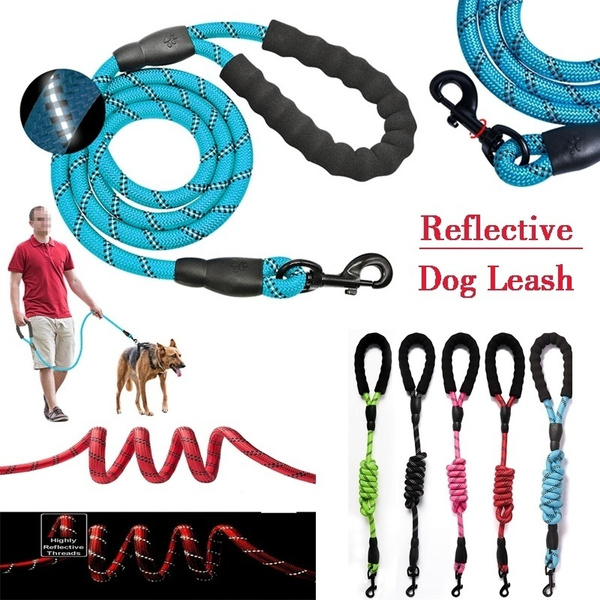 big dog leash