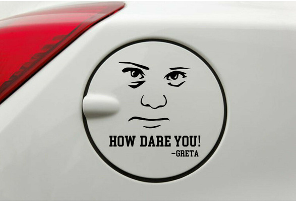 GRETA Autocollant carrosserie vitre Humour CAR DECAL X2 Stickers HOW DARE YOU
