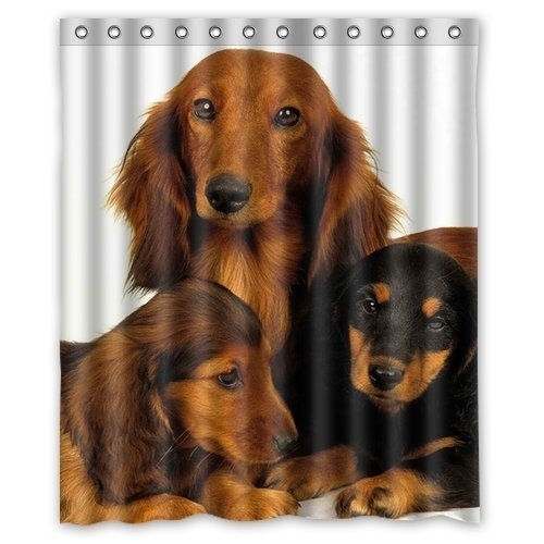 Dachshund Hunting Dog Background, Dachshund Shower Curtain