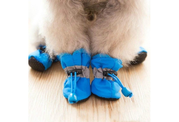 small dog snow shoes