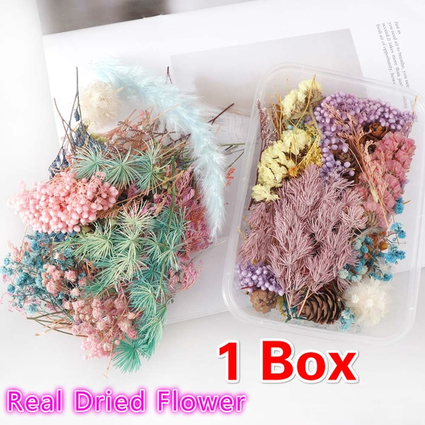Real Dried Flower For Aromatherapy Candle DIY Epoxy Resin Craft Dried Plants  