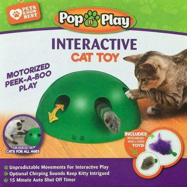motorized cat toys