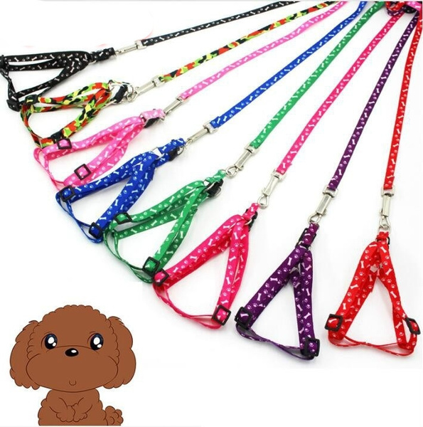 dog rope chain