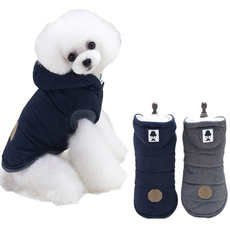 puppy, dog coat, Winter, Pets