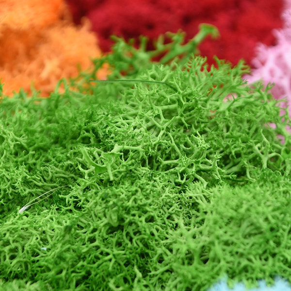 Micro Landscape Artificial Moss, Home Decor Wall Plants Moss