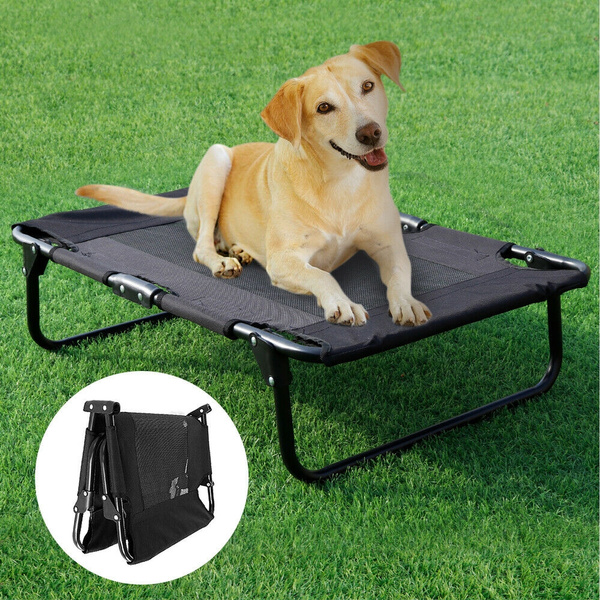 foldable elevated dog bed