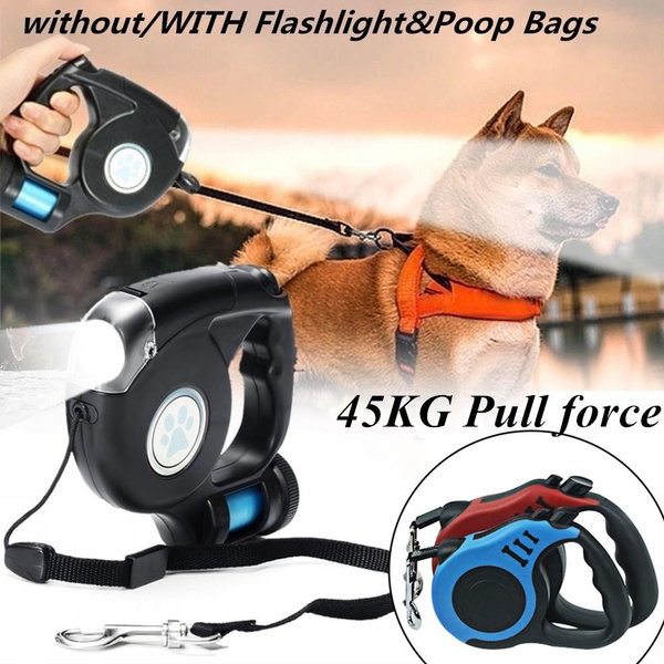 flashlight leash for dogs