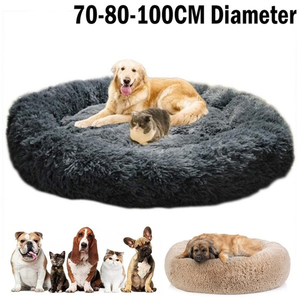 fluffy beds for dogs