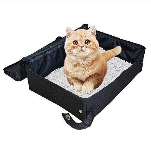portable litter box