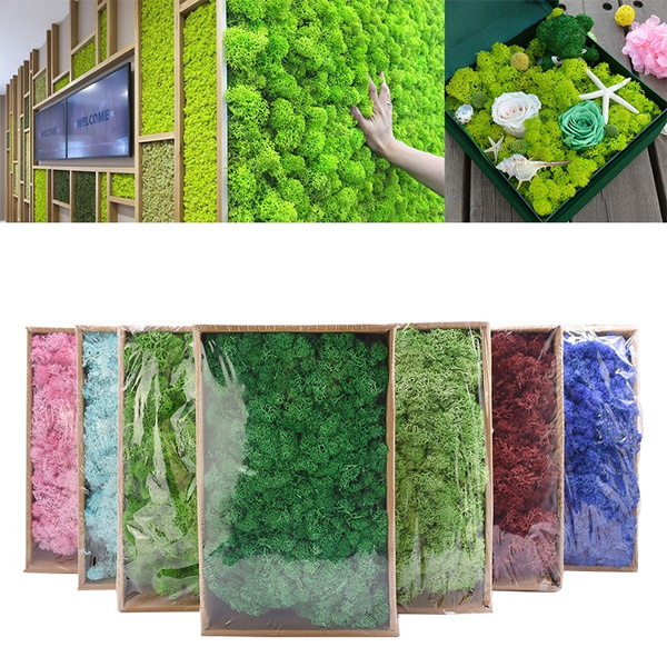 Flowers Artificial Moss Decor  Home Decor Wall Plants Moss