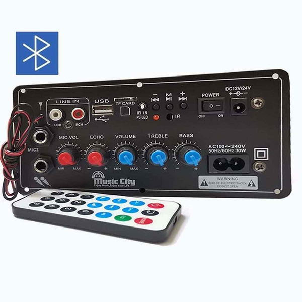 Acheter Amplificateur stéréo numérique Bluetooth 200W AC 220V 12V 24V,  caisson de basses, double Microphone, amplificateurs de karaoké pour  haut-parleur 8-12 pouces