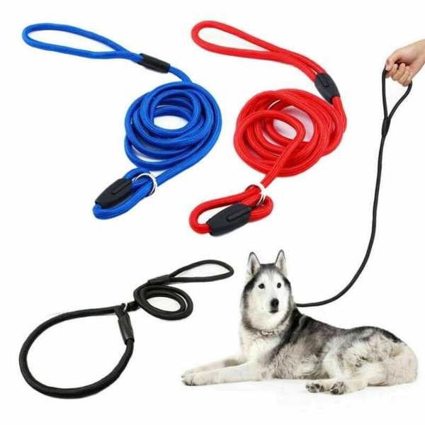 Pet Dog Nylon Rope Training Leash Dogs Chain Slip Collar Walking Wish