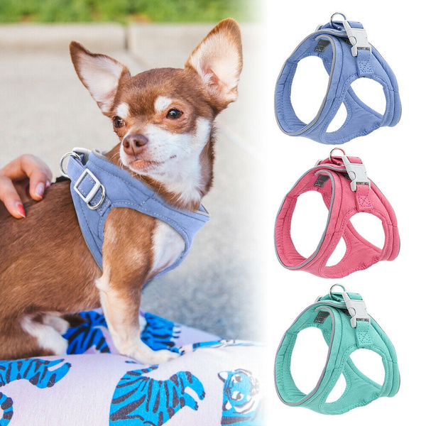 suede dog harness