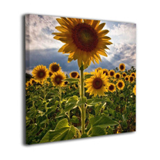 paintingcanvaspack, canvaswallart, paintingcanva, Sunflowers