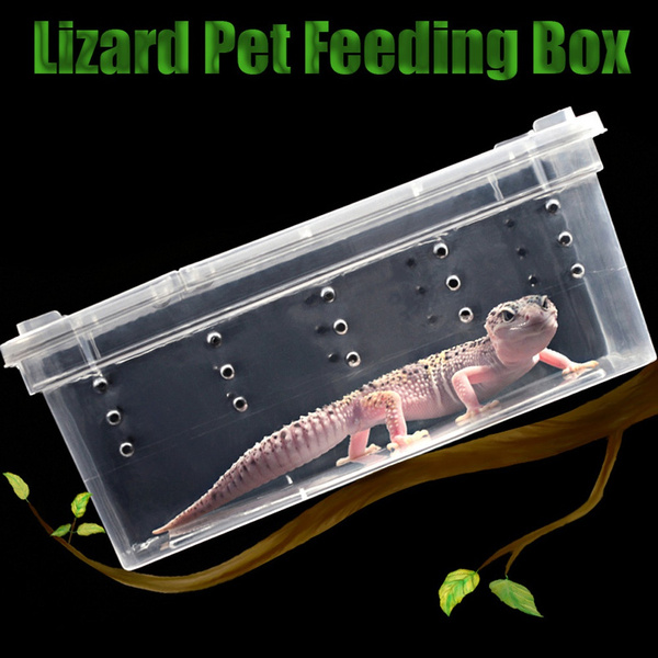 Reptile Cage Breeding Box Tarantula Insect Lizard Snake Amphibian Frog New 
