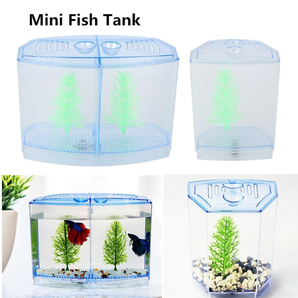 wish fish tank