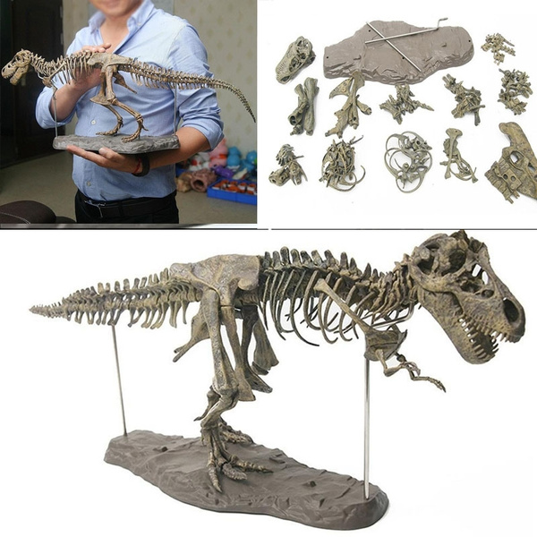 4d Assembled Dinosaur Skeleton Children's Toy Tyrannosaurus Fossil