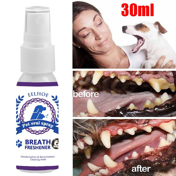 Antibacterial mouth store spray for dogs