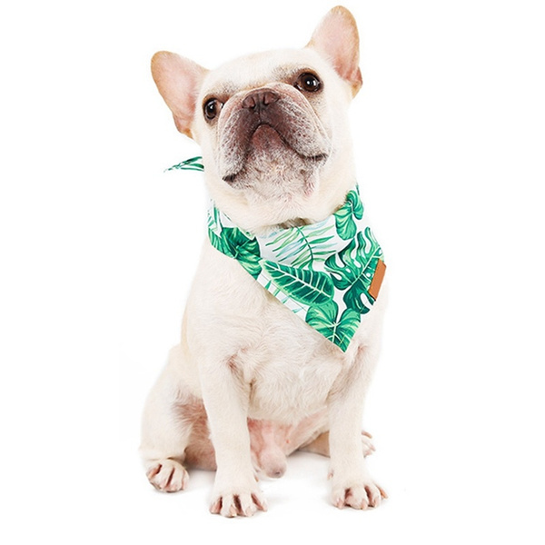 Tropical dog outlet bandana