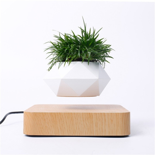 Home Desk Decor Levitating Air Bonsai 