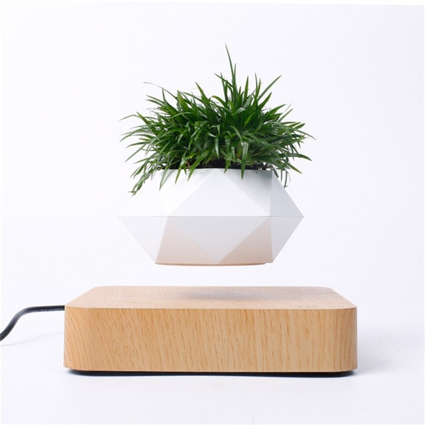 ZHHID Levitating Air Bonsai Pot, Magnetic Suspension Levitating Air Flower  Pots - Creative Design Levitation Bonsai - Home Office Decorations - Fun