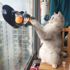 Plastic, Funny, cattoy, cattunnel