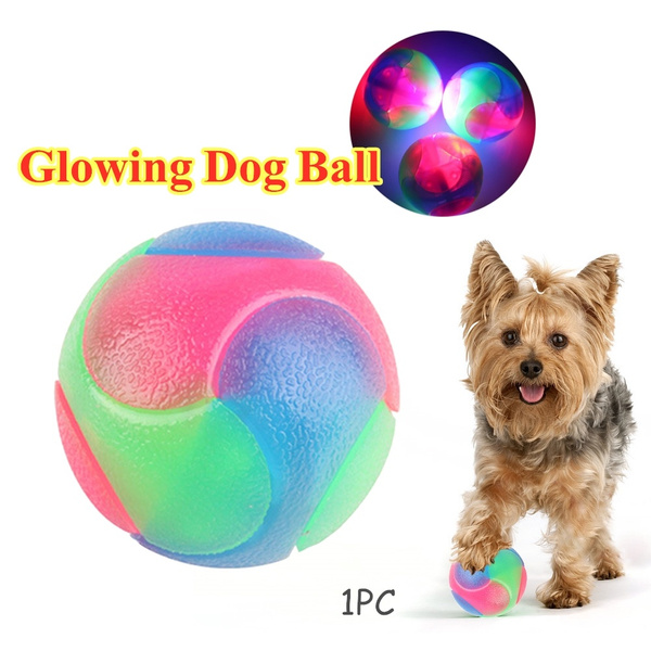 flashing dog ball