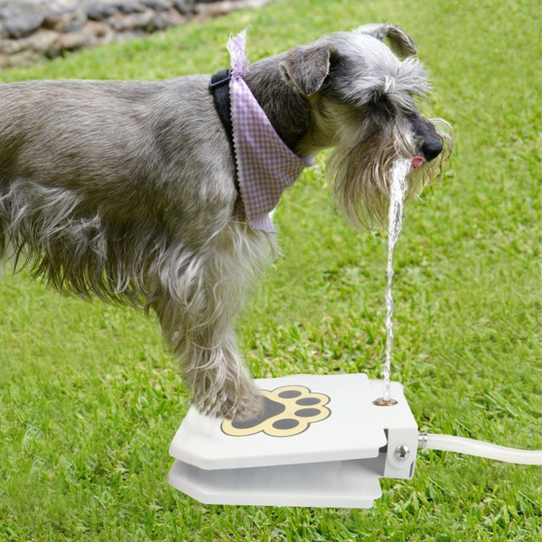 dog sprinkler toy