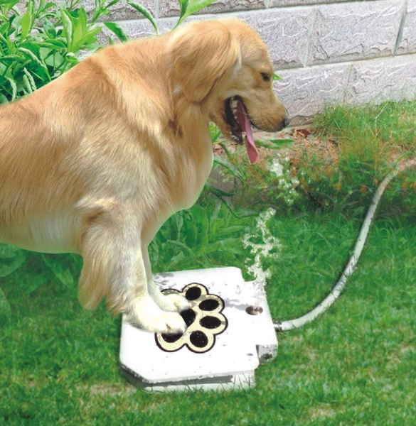 Outdoor Dog Pet Water Fountain Step On, Outdoor Pet Water Fountain