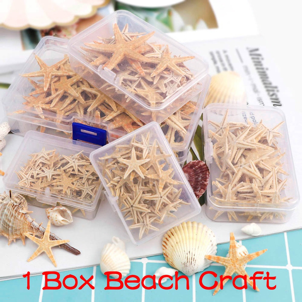 1 Box Natural Starfish Beach Craft Sea Stars Diy Wedding Decoration Crafts Home Decor Epoxy 5cm Wish