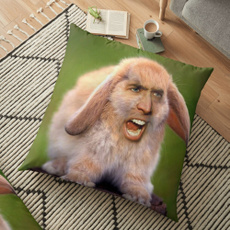 Nicolas cage pillow wish hotsell