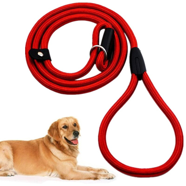 Nylon rope dog leash sale