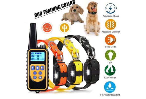 vibrating dog collar dog whisperer