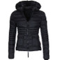 thumbnail - 2