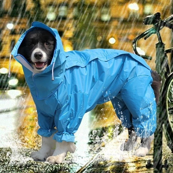 Big best sale dog raincoat