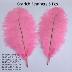 pink, pinkfeather, Jewelry, Carnival
