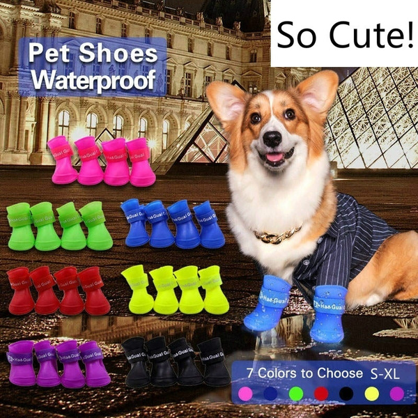 corgi rain boots