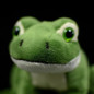 thumbnail - 5