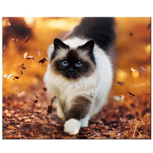 5D DIY Painting Cat Animal Home Decor Art Cross Stitch Kit Diamond Embroidery
