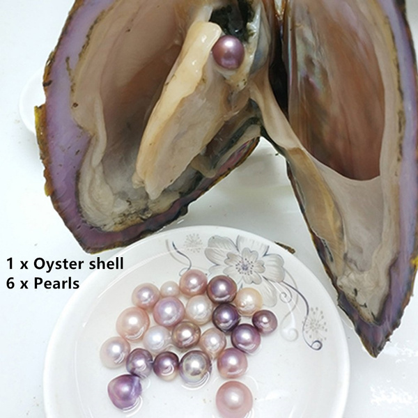 Tivolii Vacuum-Pack Oyster Pearls Mussel Shell with 6pcs Pearls Inside Freshwater Pearl Mysterious Surprise Gift for Friends 